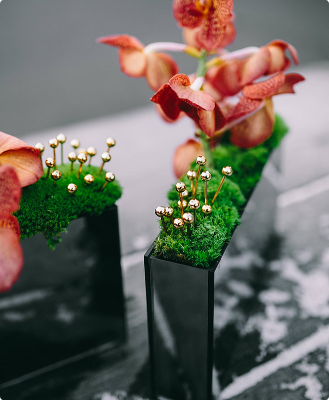 home-12-shop-img-1 d