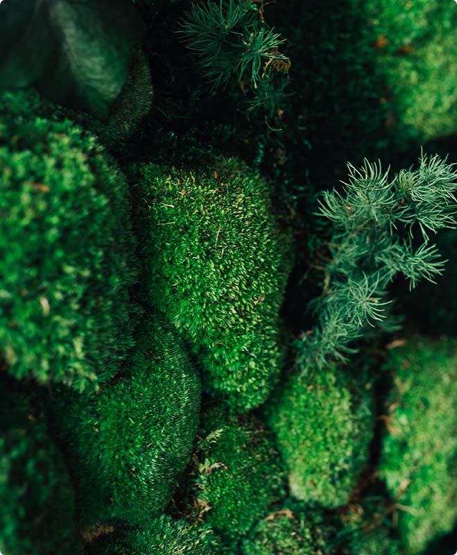 home-12-shop-img-9 f